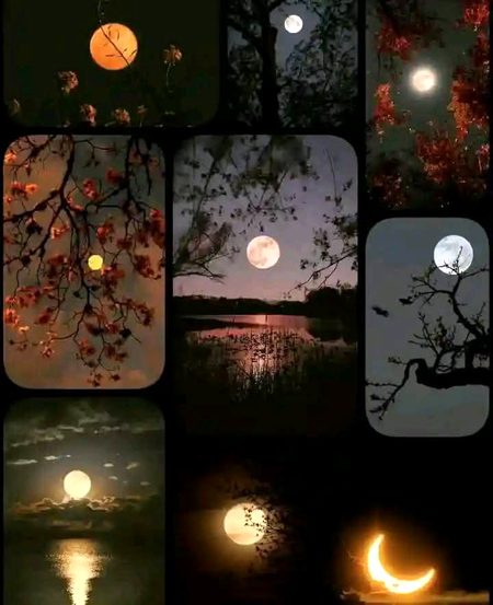 Beautiful Nature image