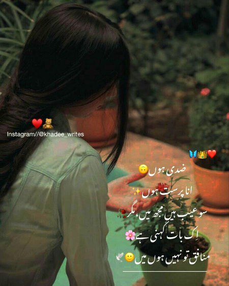 Attitude Quotes image