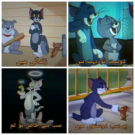 G g sahi prha tum hi ho