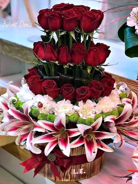 Beautiful Nature image