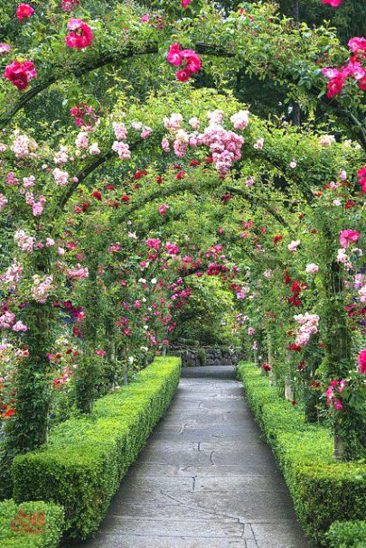 Beautiful Nature image