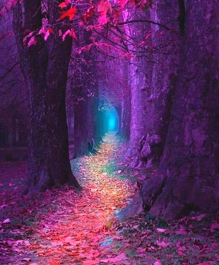 Beautiful Nature image