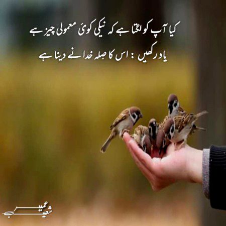 Beshak ALLAH behtareen sila dainy wala hai