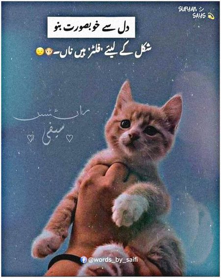 Life Advice image