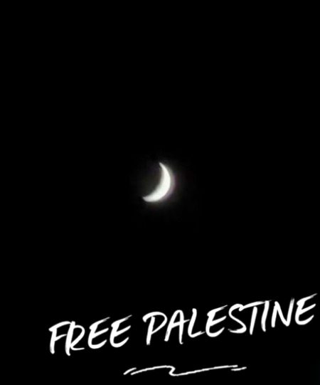 في أمان الله
بسم الله مجراها ومرساها 
بسم الله سعيها ومبتغاها 
بسم الله تحرسها وترعاها 
بسم الله تحفظ الصامدين في اسطول الصمود إلى غزة🤲🤲🤲