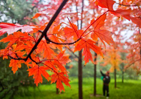 Beautiful Nature image