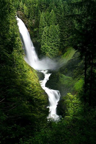 Beautiful Nature image