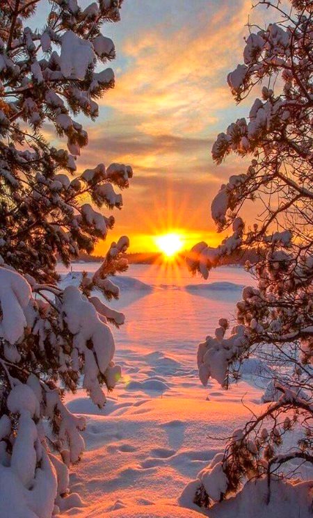 Beautiful Nature image