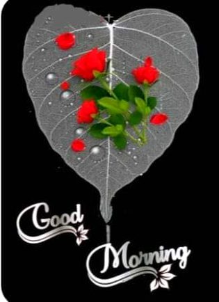 Salam to all