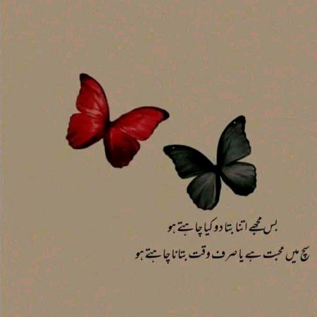 Wakht k maRe AlaG heN saRe 💔