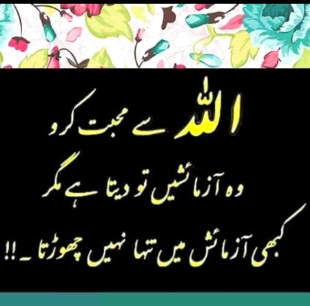 Islamic Quotes image