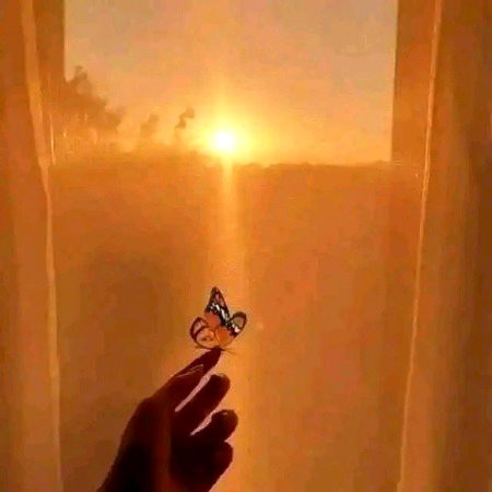 Beautiful Nature image