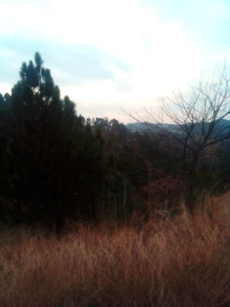 Beautiful Nature image