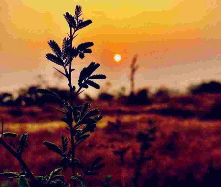 *معمولی  معمولی  باتوں کـو  دل  میـں  رہائش نہ دیں۔  کیونکہ  اگر  یـہ “دل  کـے  مکین” بن  جائیں  تـو  بڑے بڑے رشتے  “مسافر”  بن  جاتــے  ہیں🙂💯*