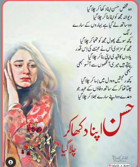 Romantic Novels image