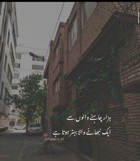 Life Advice image