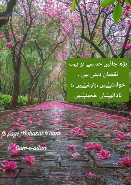 Mujy tanha rehna passnd Kisi ki shirakat bardsht nai mujy 🙃🙃🙃🙃