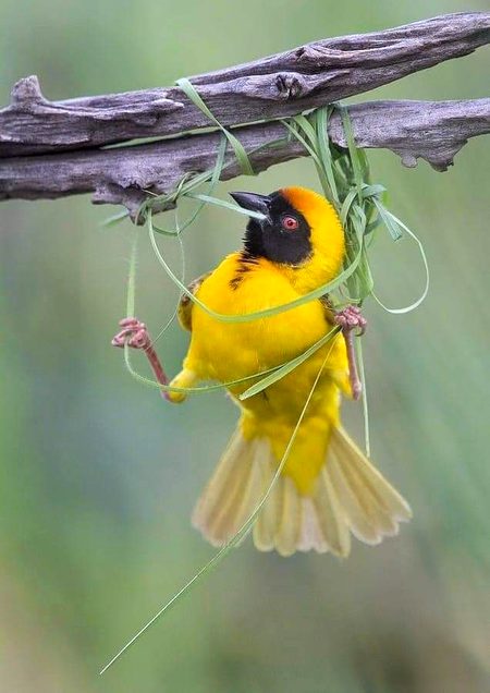 Beautiful Nature image