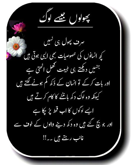 No Caption 🌺🌺