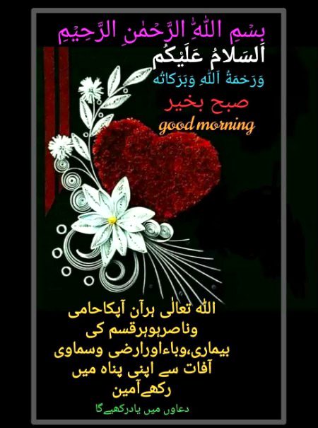 Ameen ❣️❣️