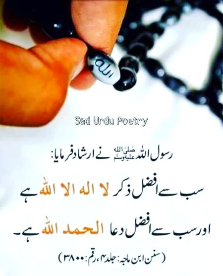 Islamic Quotes image