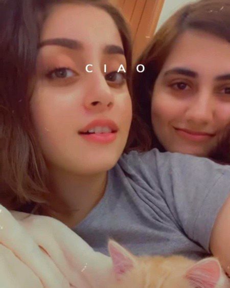 Pakistani celebrity...