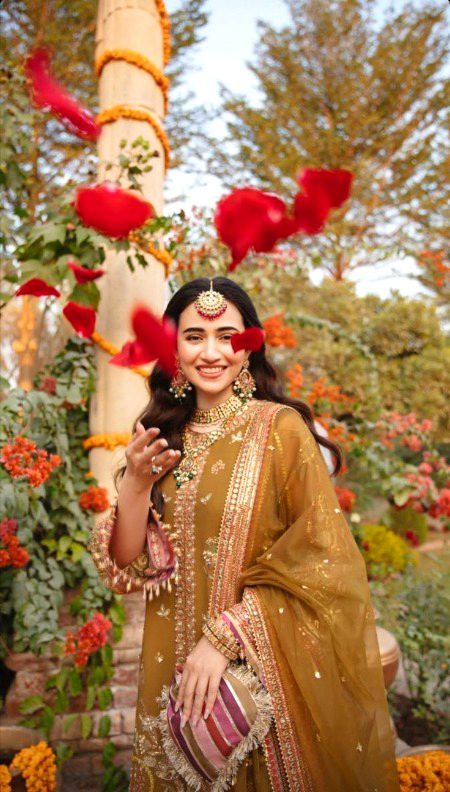 Pakistani Celebs image