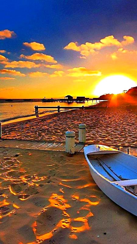 SWEETA MORNING