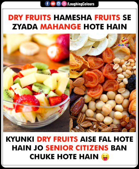 Memes & Satire image