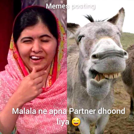 Memes & Satire image