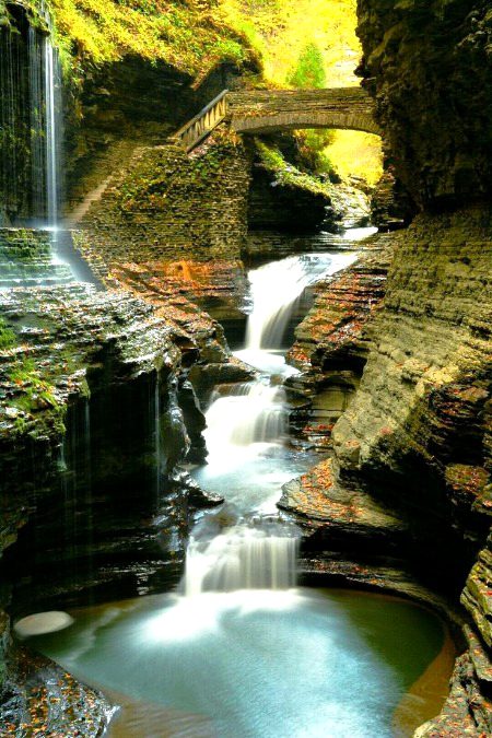 Beautiful Nature image