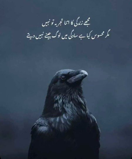 یقین کریں کوئی نہیں جینے دیتا ۔۔۔۔💯 پری۔۔۔