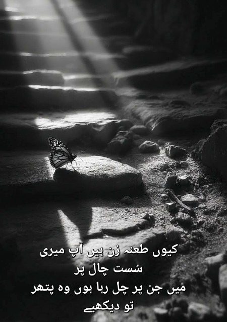 جو صبر سے چلا، وہ کبھی ہارا نہیں،
پتھر پہ چلنے والا، بکھرا بھی تو تارا نہیں۔