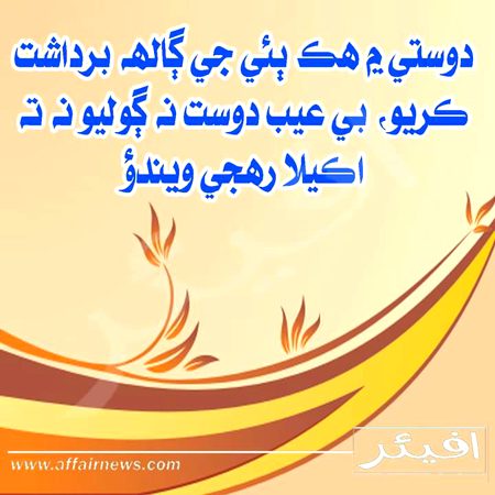 Sehr011786