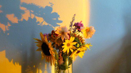 رزقك اللّٰه صحبة من يقلب الخريف ربيعاً بصحبته، ويضيء صحبته كاليراعة في الظلام، ويأخذك صحبته إلى الجنة۔
"اللّٰه آپکو وہ مُصاحبت عطا کرے، جس کی مُجالست پا کر خزاں کی رُت مثلِ بہار لگے ، جس کی سنگت اندھیارے میں جُگنو بن کر چمکے اور جس کی ہم نشینی آپکو جنت تک لے جائے"
آمین اللّھمّ آمین ❤️🩹