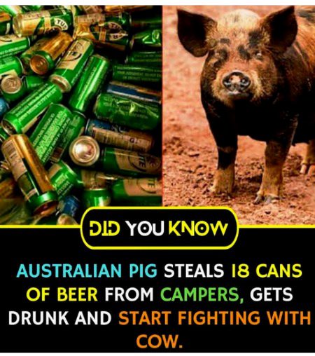 Interesting Posts image