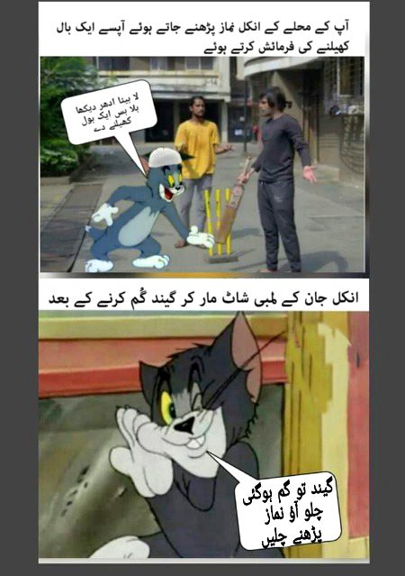 Memes & Satire image