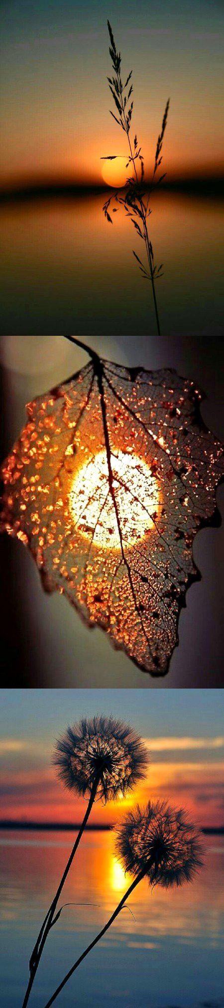 Beautiful Nature image