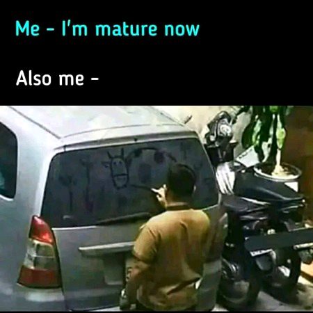 Memes & Satire image