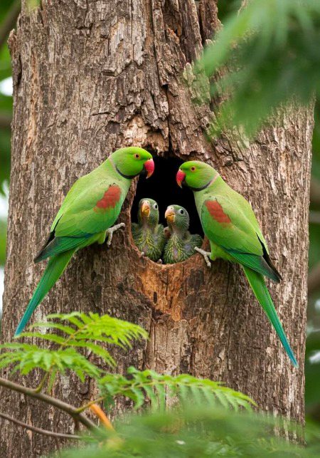 Beautiful Nature image