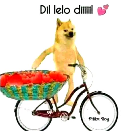 Memes & Satire image