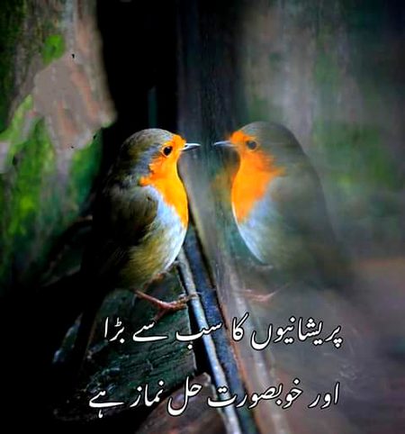 Islamic Quotes image