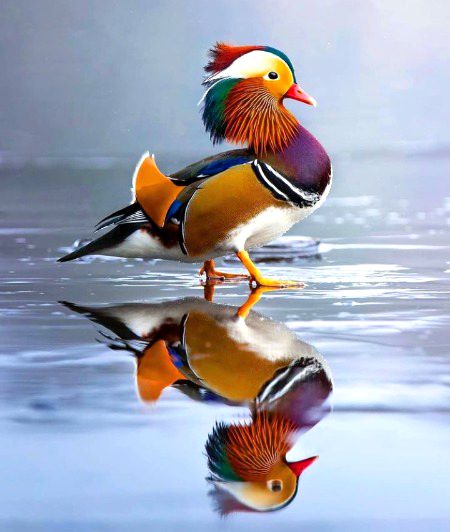Beautiful Nature image