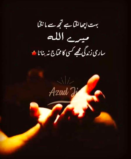 Aameen.a1