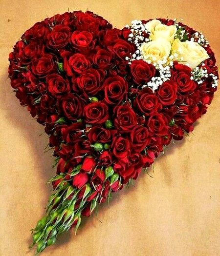 Beautiful Nature image