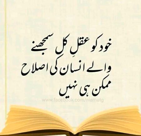 اصلاح کرے تو کس کی جو خود کو عقلٍ قلٌ سمجھے اسکی۔ُ