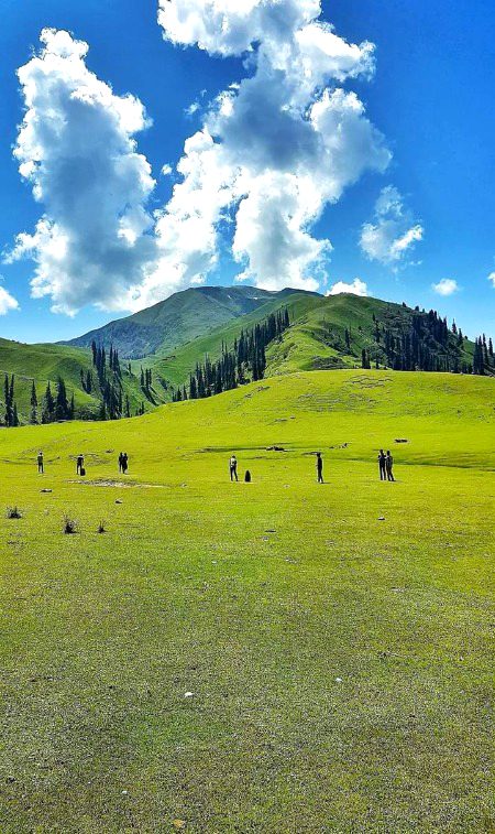Beautiful Nature image