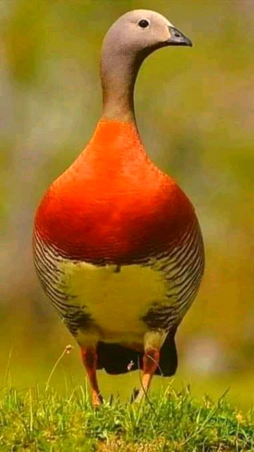 Beautiful Nature image