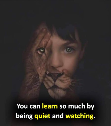 Life Advice image