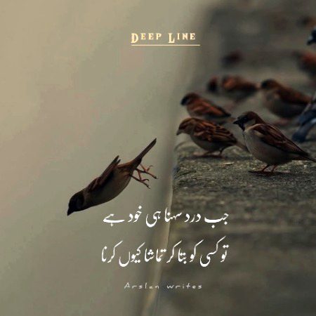 Life Advice image